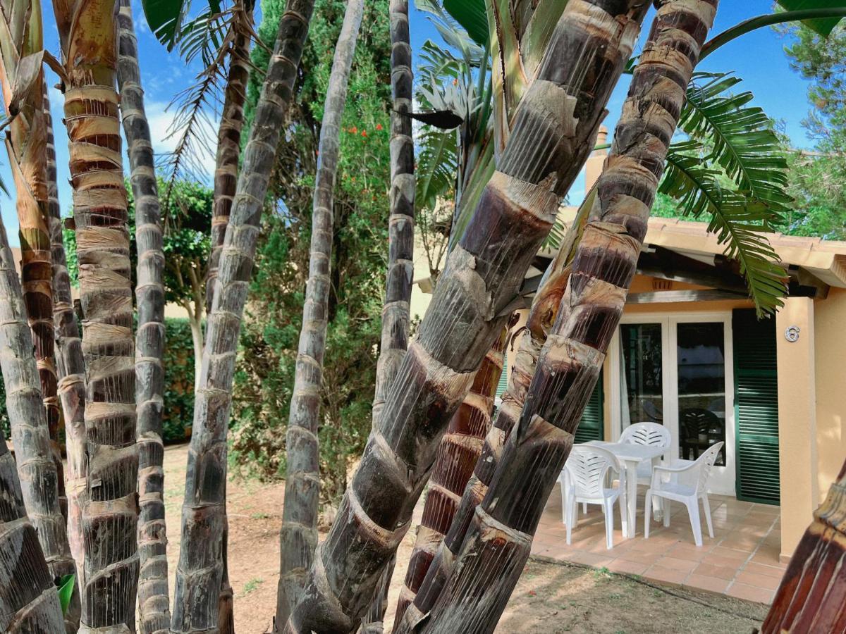 Bungalow Tropical Nº6 - Son Xoriguer Lejlighed Eksteriør billede