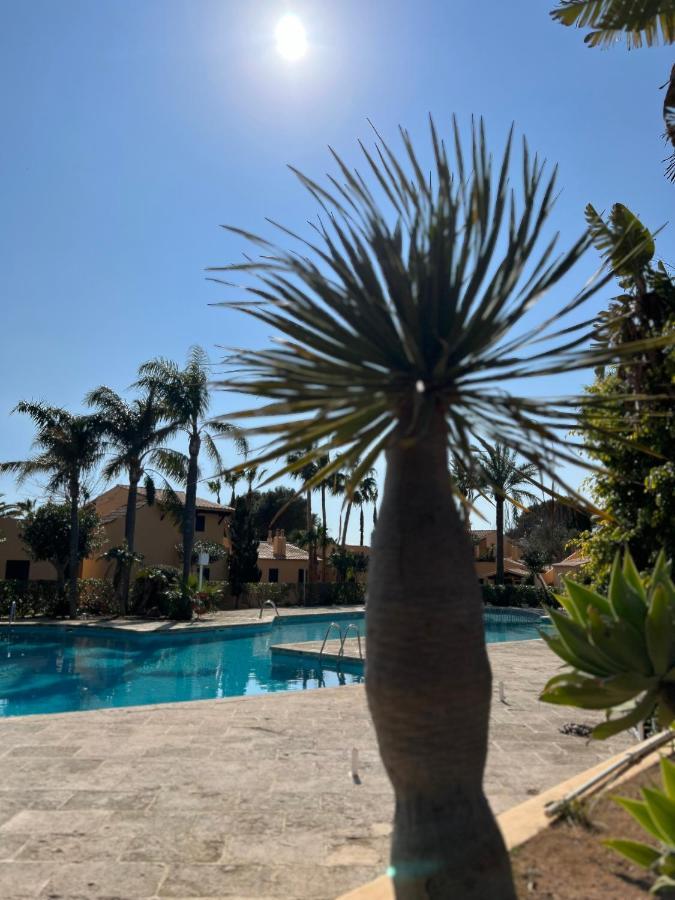 Bungalow Tropical Nº6 - Son Xoriguer Lejlighed Eksteriør billede